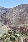 Colca Canyon 